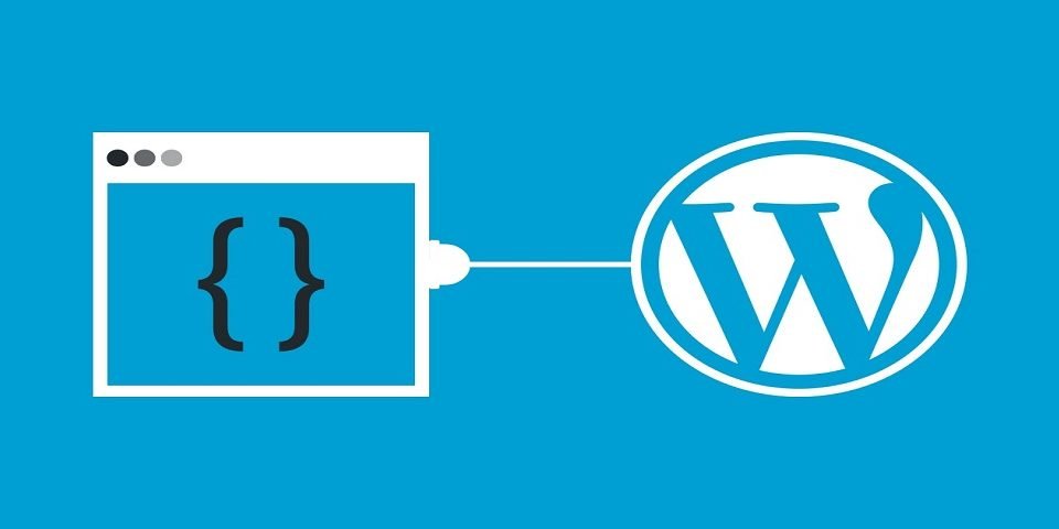 Plugins for WordPress Website