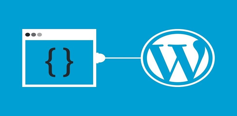 Plugins for WordPress Website